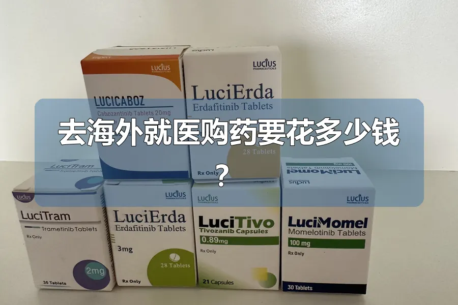 去海外就医购药要花多少钱？